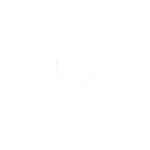 Wild Code School
