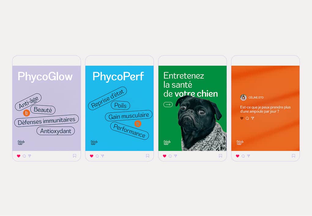 Social Media Content